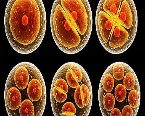 身陷子宫内膜异位症的困扰：如何寻求解脱？