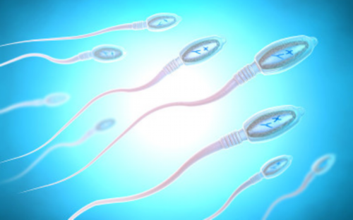 江苏单身男做试管婴儿多少钱,江西做试管男宝要多少钱?附江西试管医院生男