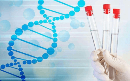 江西供卵群,如何评价江西这个省?