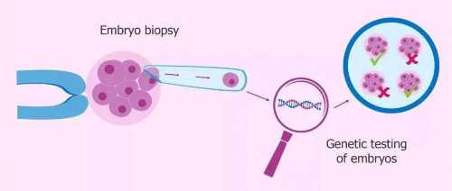 江西同性供卵代生，江西二胎怎么办准生证