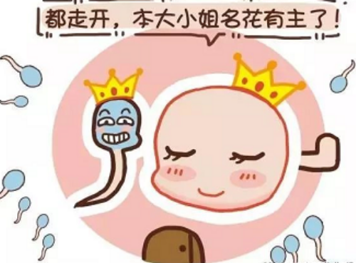 鲜胚移植17天出血胚胎移植第17天出血