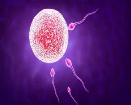 试管胚胎移植时选择哪种移植方式