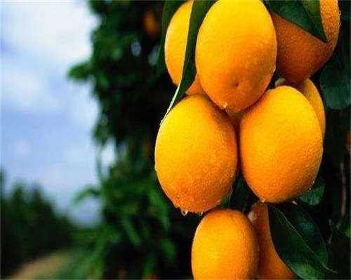 江西代生上那找,江西生育三胎补贴多少,2026江西三孩补贴最新政策!