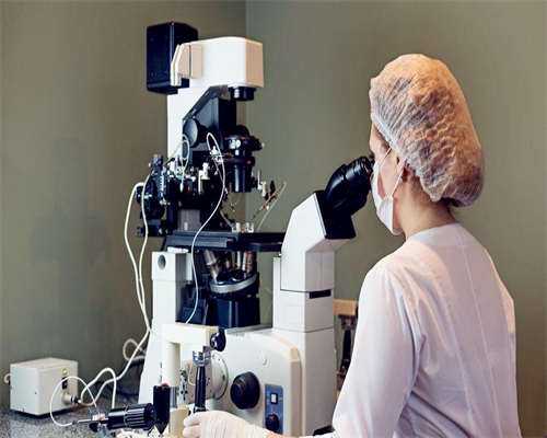 <strong>鲜胚囊胚冻胚移植哪个成功率高</strong>