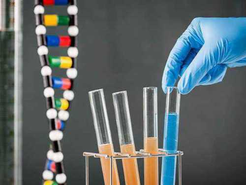 江西助孕中介网,江西单独二胎新政策