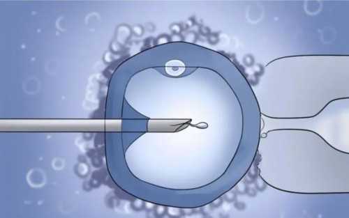〖景德镇骗术〗景德镇助孕骗子公司有哪家