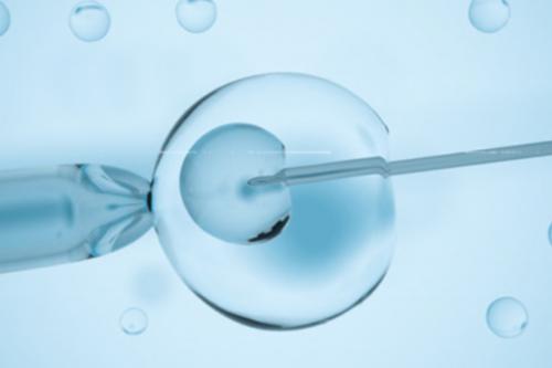 江西捐卵公司机构，江西试管婴儿成功率高吗？附江西试管医院成功率数据