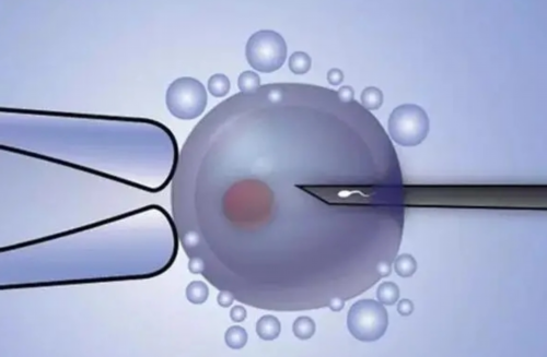 江西供卵合法么，江西防辐射铅板