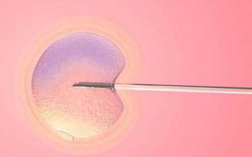 江西自卵代怀,江西供卵试管费用明细附2026江西供卵生男孩医院排名