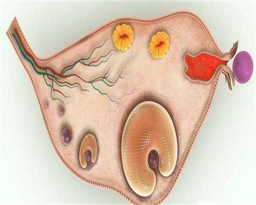 成都代孕婴儿医院中介,江西三代试管婴儿医院有哪些？内附医院排名-试管费用