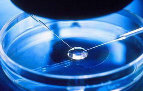 江西供卵机构有吗,江西防辐射铅板