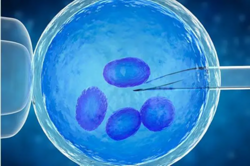 江西代生龙凤胎,江西九江试管需要多少钱?