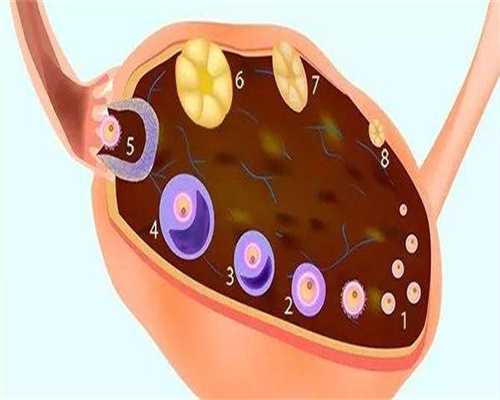 快移植了心情重度焦虑，移植前心情焦虑影不影响着床？