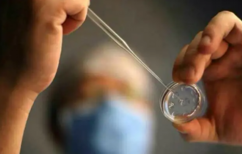 第三代试管代孕机构_代孕公司哪家专业,
              移植囊胚后可以吃川贝炖雪