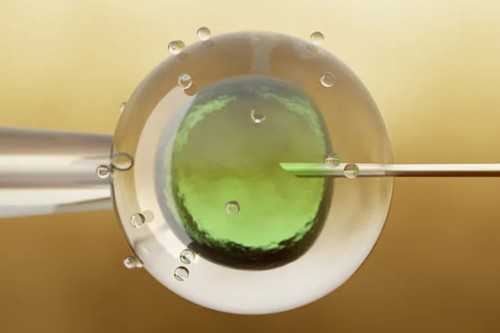 胚胎植入前基因检测是什么！怎么样更省钱！