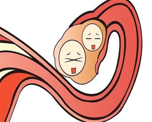 取卵前可以吃什么长卵泡（说说取卵前吃什么对卵泡好）