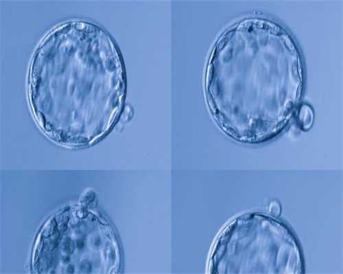 试管移植后着床成功，会出现哪些症状呢？