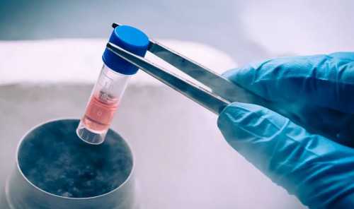 男性染色体平衡易位如何备孕才能生出健康的孩子？