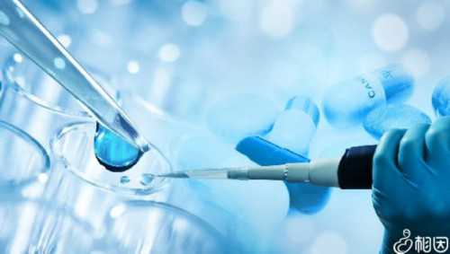 荆州三代供卵试管机构如何选择，成功人数多不多