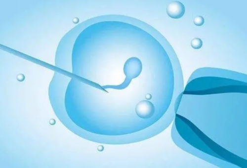 代孕成功几率-试管移植囊胚17天抽血hcg数值1047是正常的吗?囊胚移植17天hcg175?