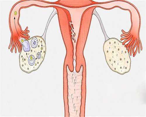 江西代生求子,2026年最新江西助孕试管婴儿医院有哪几家?附江西试管费用详