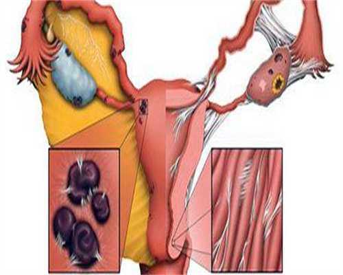 备孕要吃哪些维生素（孕期饮食禁忌）