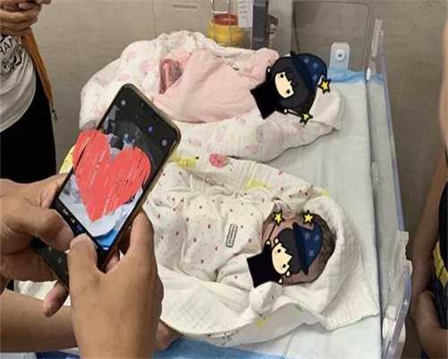 试管移植后可以吃鲍鱼吗