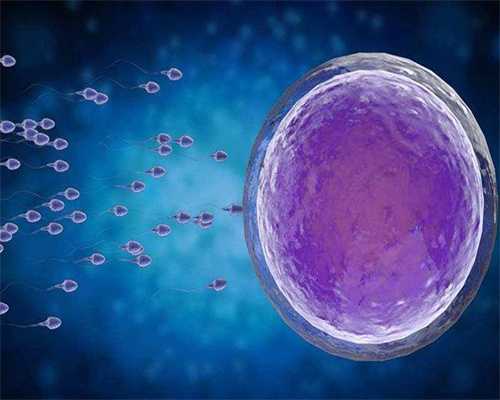 哪家代孕公司最好啊_代孕机构成功率,中介哭了!乌克兰试管婴儿收费明细曝光