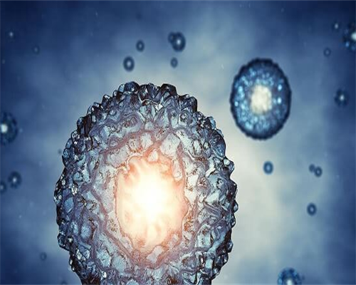 女子吃麒麟丸最明显的效果是卵泡长得比较快?