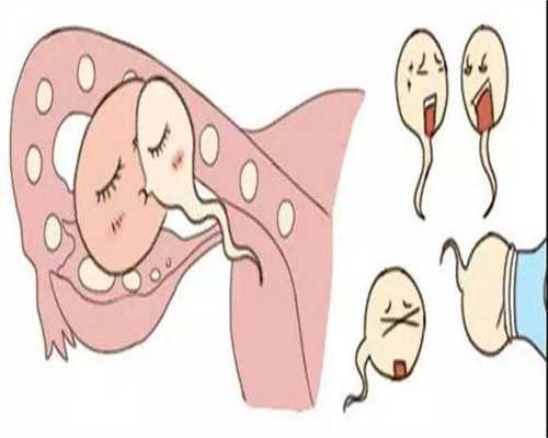 江西供卵贵吗,江西供精试管医院排名
