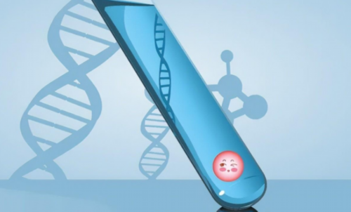 两个胚胎是双胞胎吗