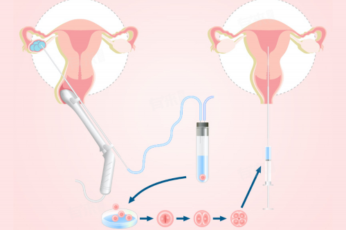 包成功江西代孕哪家优惠,江西省南昌市试管婴儿医院哪家好有什么优势
