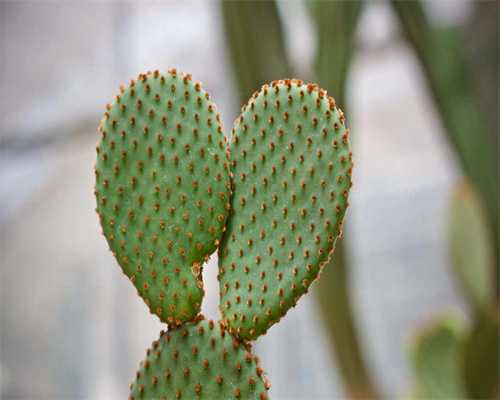 南昌供卵机构价格查询，南昌捐卵包生男孩不可信，2026江西18家试管婴儿医院供