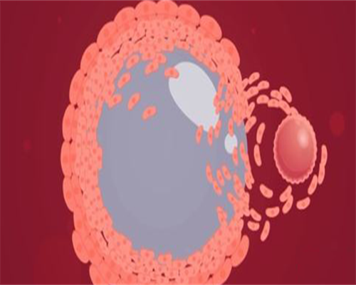 江西cssc捐卵,江西无痛分娩试点医院名单