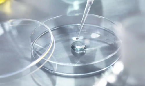 江西捐卵交流群，江西试管婴儿成功率高吗？附江西试管医院成功率数据