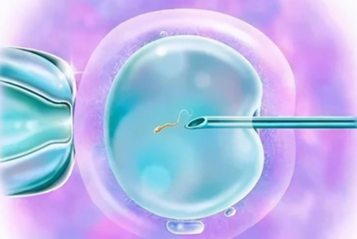 卵巢早衰江西代怀孕,江西省南昌生殖医院可以供卵试管婴儿吗?费用多少钱?