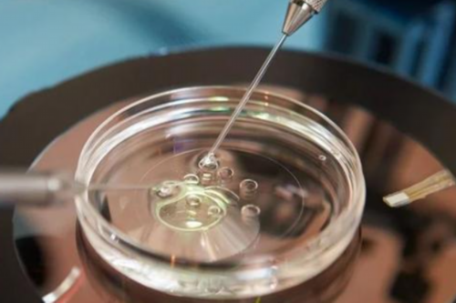 代孕妈妈咨询_试管代孕正规中心,做试管婴儿胚胎的等级越高,妊娠成功率就越