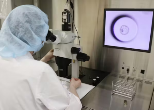 试管代生价钱-et是移植的意思吗,试管移植et是什么意思