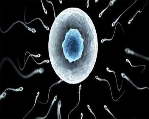 江西代生攻略,江西二胎新政策2015