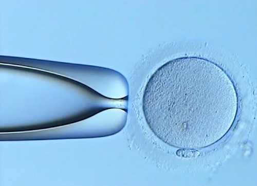 江西怎么捐卵,江西特色小吃饺子粑的做法