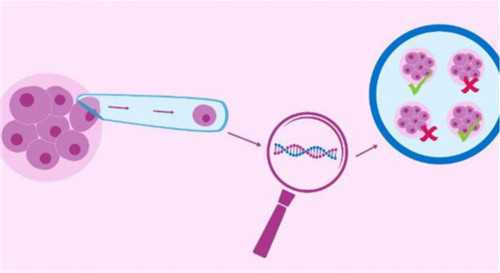 南昌职业供卵试管机构，南昌捐卵包生男孩不可信，2026江西18家试管婴儿医院供