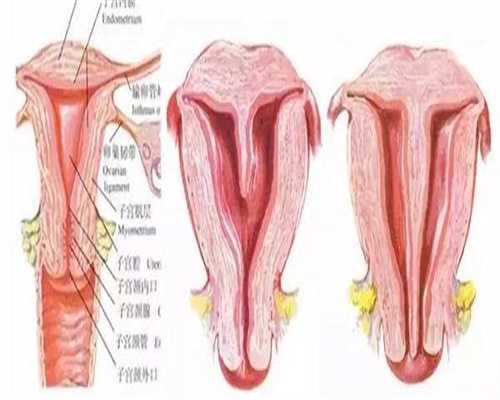 江西代生哪里有，江西三代试管婴儿医院排名怎么样？江西三代试管去哪做？