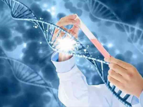 景德镇妇保试管婴儿费用多少景德镇做试管婴儿多少钱