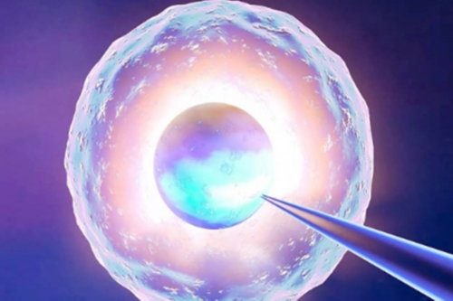 江西代生网哪家好，江西肿瘤医院哪家好