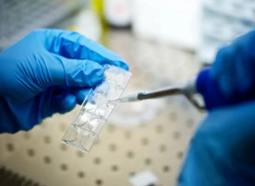 南昌代怀孕收费,除了江西妇幼、一附院，南昌做助孕试管婴儿的医院有几家？