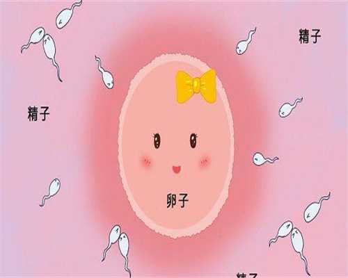 南昌供卵不排队，江西南昌供卵不排队医院排名整理，附试管供卵费用明细！