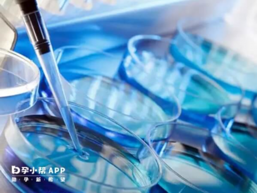 供卵代怀试管:做试管婴儿查染色体作用,做试管检查染色体检查哪几项