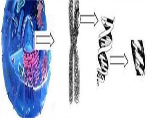 南昌试管婴儿选男孩多少钱啊，江西南昌做三代试管包生男孩费用是多少