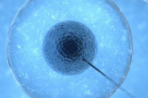 子宫内膜8mm可以移植囊胚吗?