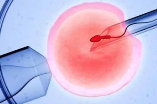 江西正规代生,2026年江西最新规定产假是多少天?